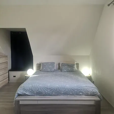 Pic Rider Homestay Massy (Essonne)